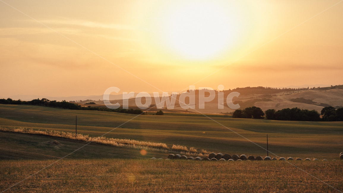 석양,노을,저녁,밭,전원,농촌,풍경,sunset,countryside,토스카나,toscana,landscape,하늘,태양,sky,sun,일몰,자연,풍경,nature,landscape,해외,외국,세계,foreign,oversea,world,세계자연풍경,해외자연풍경,외국자연풍경,world nature landscape,outdoors,옥외
