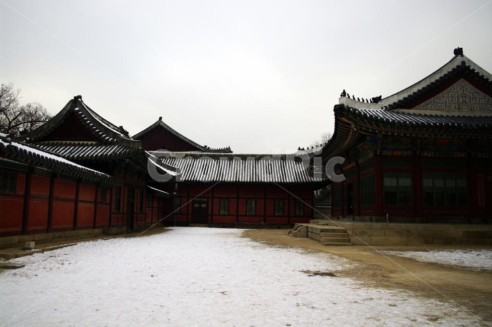 덕수궁,고궁,건축,전통건축,traditional,전통,기와지붕,겨울,winter,풍경,설경,눈,겨울,계절,winter,season,한국전통,한국문화,korean traditional,korean culture,랜드마크,landmark,tourist attraction,한국랜드마크,한국관광지,한국명소,korea landmark,korea tourist attraction