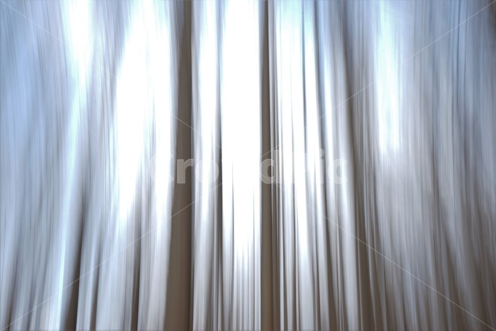 장노출,메타세콰이어숲,나무,자연,환상적,몽환적,배경사진,trees,nature,shutterspeed,longexposure,fantastic,자연,풍경,nature,landscape