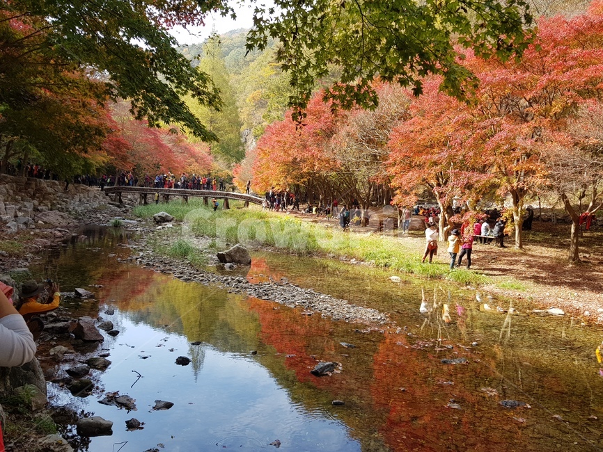 산,낙엽,가을,자연,단풍,가을,계절,fall,autumn,season,사람들,대중,군중,other people,crowd