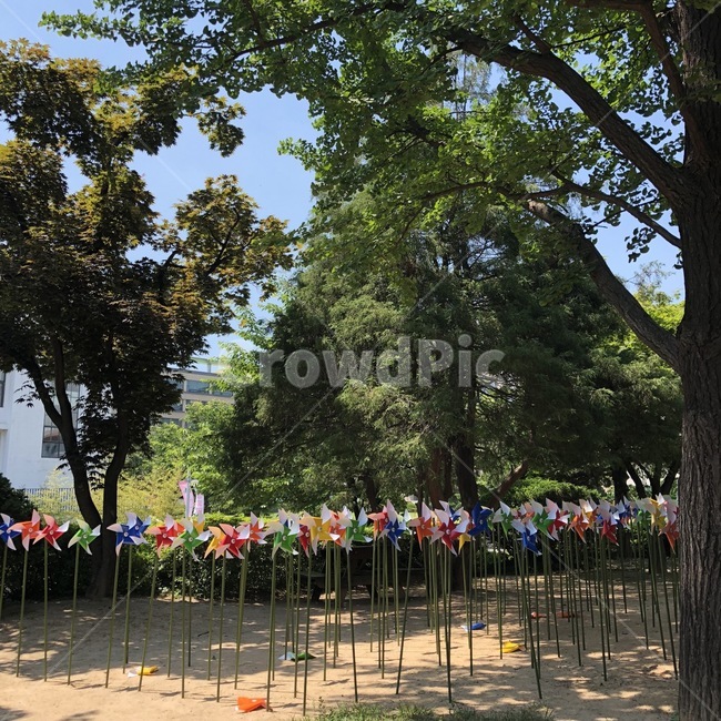바람개비,청량,나무,햇살,그늘