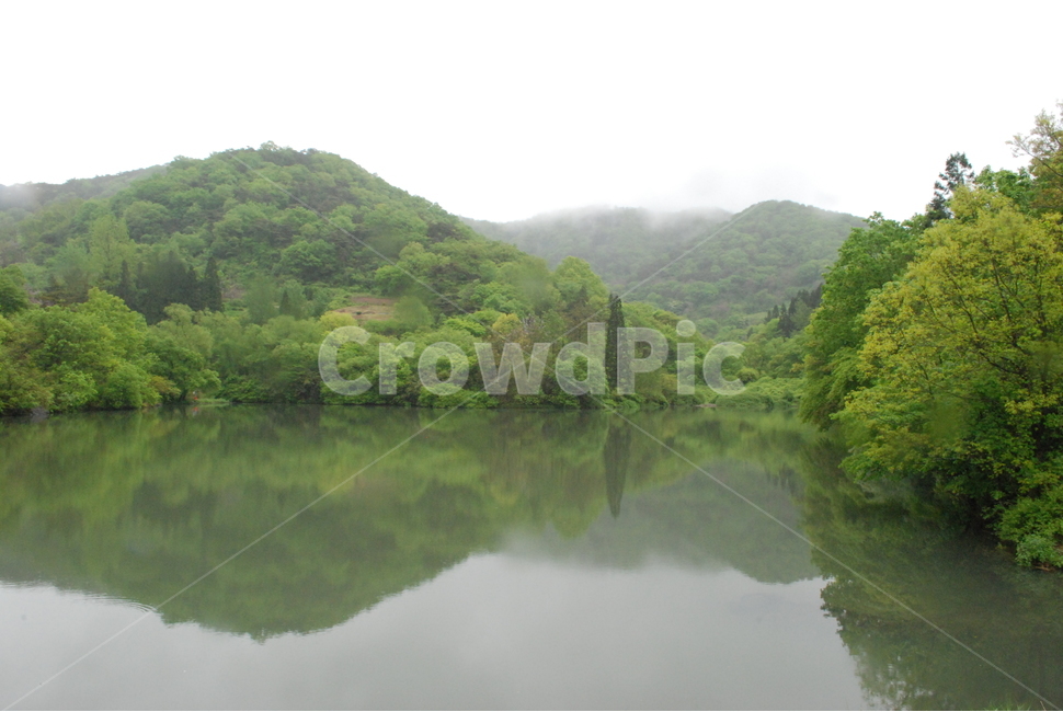 세량지,저수지,봄,반영,안개,봄,계절,spring,season,자연,풍경,nature,landscape,한국자연풍경,한국자연경관,korea nature landscape,water,물,outdoors,옥외