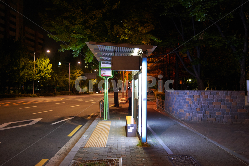 버스정거장,서울,한국,정거장,정류장,새벽,조명,도로,밤,야경