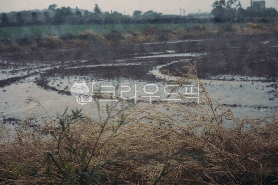 비오는날, 흐린, 비바람, 자연, 날씨, 사진,이미지,일러스트,캘리그라피 - JackyPhoto작가