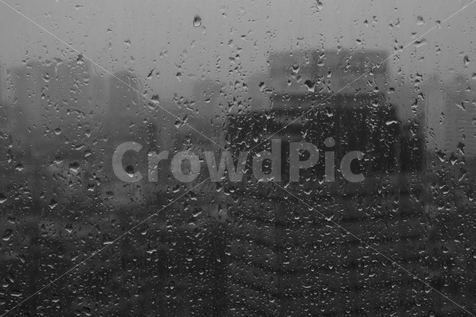 비,비내리는날,비오는날,흑백,흑백사진,비,비오는날,rain,rainy,감성,sensible,feeling,흑백,모노톤,monochrome,black and white