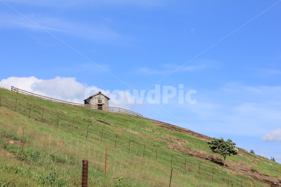 언덕,잔디밭,하늘,초원,집,자연,풍경,nature,landscape,한국자연풍경,한국자연경관,korea nature landscape,outdoors,옥외,building,건물