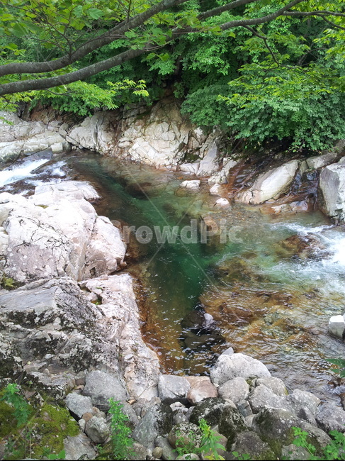 지리산,계곡,여름,초록,맑은,청명,청아
