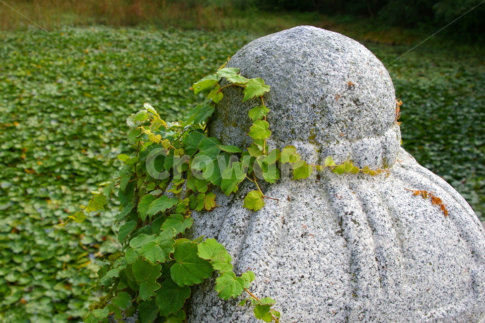 upper wheel part,stone pagoda,Korean,tradition,Korean tradition,Korean landmark