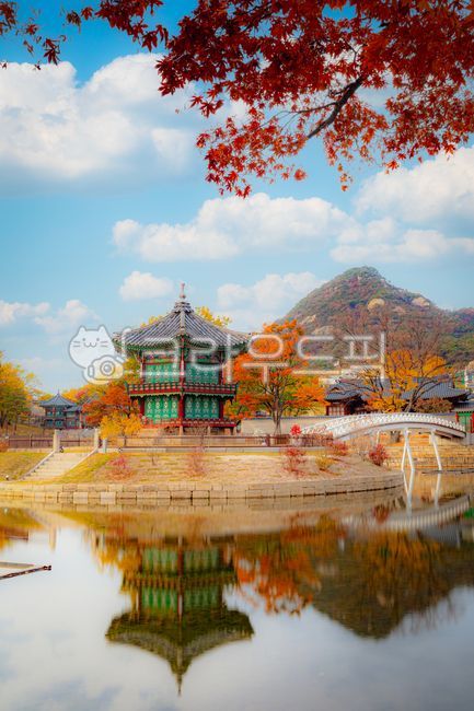 경복궁,향원정,가을,단풍,고궁