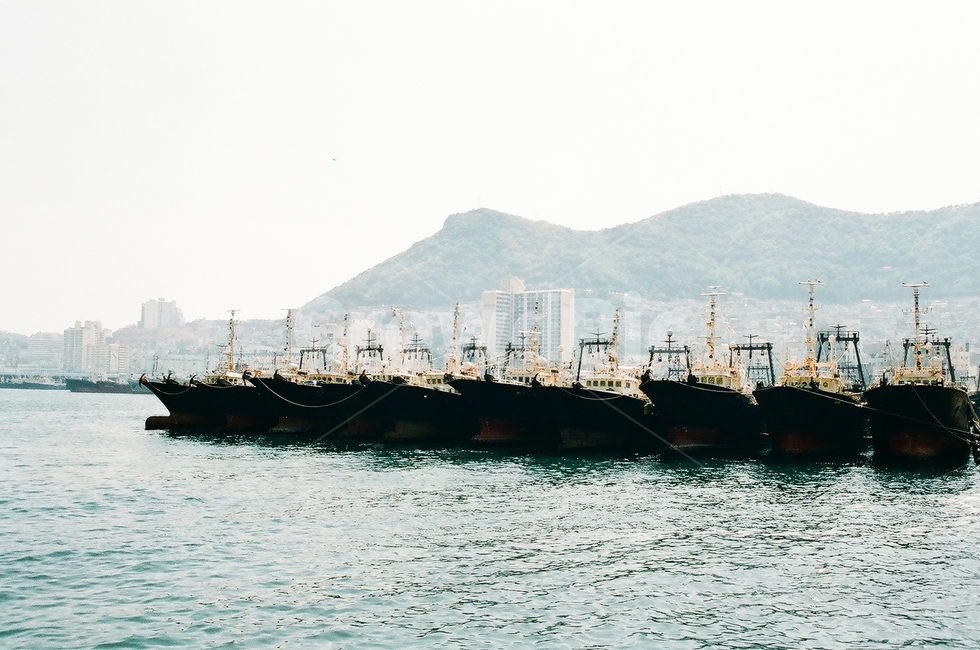 부산,바다,배,선박,필름,여름