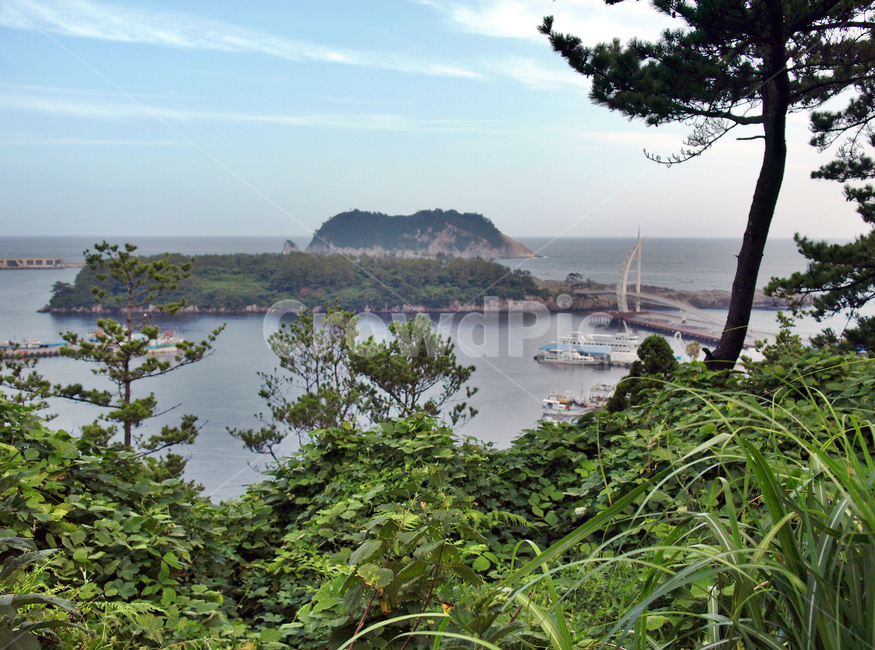 새연교,제주,서귀포시,서귀포항,새섬,다리,보도교,문섬,자연,풍경,nature,landscape,한국자연풍경,한국자연경관,korea nature landscape,제주도,jeju,jeju island,outdoors,옥외,land,땅,shoreline,해안선,water,물,ocean,대양,sea,바다,coast,연안