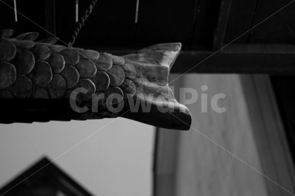 흑백,부경대,문화마을,잉어,감성,사물,물건,오브젝트,thing,object,matter,흑백,모노톤,monochrome,black and white