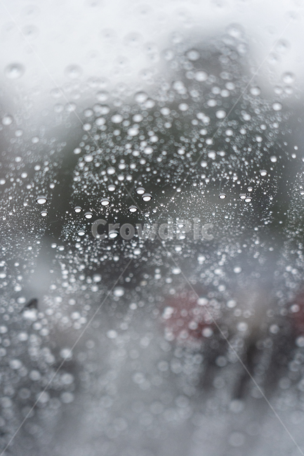비,빗물,빗방울,창,rain,비,비오는날,rain,rainy