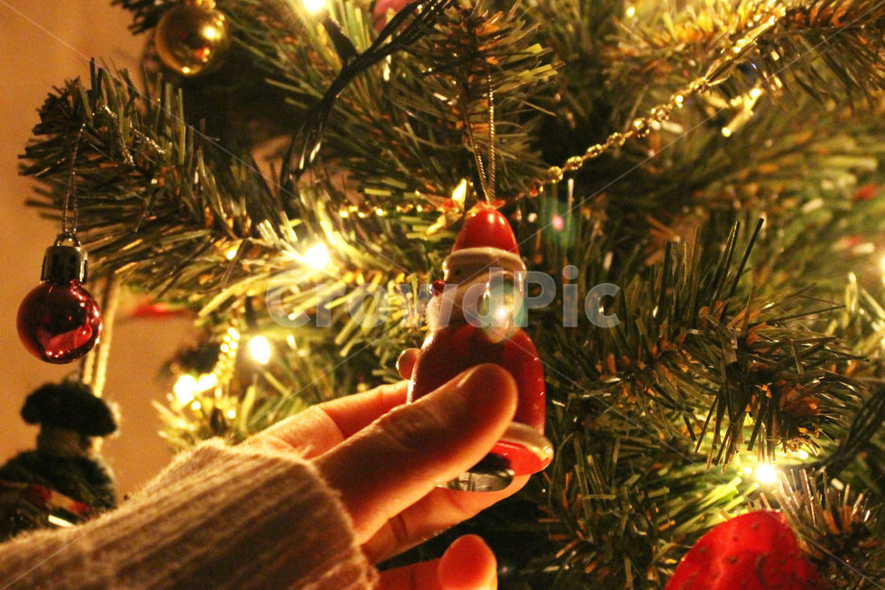 크리스마스,크리스마스트리,크리스마스장식,성탄절,감성사진,christmas,메리크리스마스,체크,빨강,빨간색,초록,초록색,tree,red,green,빛,손,사람,겨울,계절,winter,season,사람,인물,인간,human,person,신체일부,몸,body,기념일,축하,anniversary,congratulation,celebrate,celebration,메리크리스마스,성탄절,merry christmas