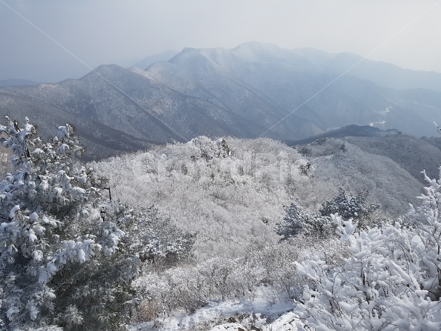 눈,눈꽃,설산,산행,정상,겨울,계절,winter,season,자연,풍경,nature,landscape,outdoors,옥외,mountain,산