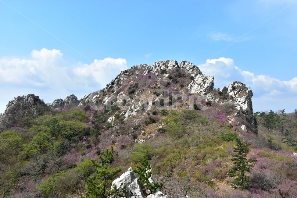 주작산,덕룡산,종주,진달래,풍경,기암,바위,비경,봄풍경,진달래꽃,강진,명산,산행,등산,마운틴,힐링,mountain,landscape,자연,natural,자연,풍경,nature,landscape,한국자연풍경,한국자연경관,korea nature landscape,outdoors,옥외,wilderness,황야