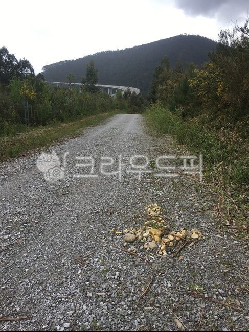 distance,Arrow sign,road name,pilgrimage route,Pebble