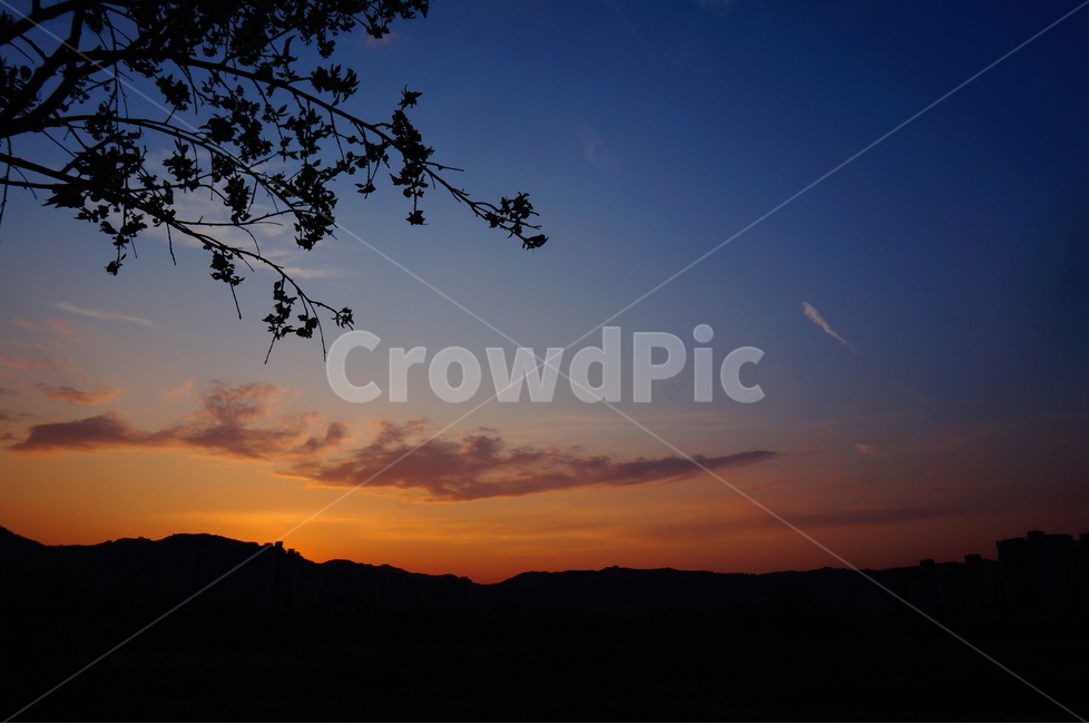일몰,노을,풍경,밤,해,자연,풍경,nature,landscape,실루엣,그림자,silhouette,shadow,outdoors,옥외,sky,하늘,dusk,황혼,sunset,red sky,붉은 하늘,dawn,새벽