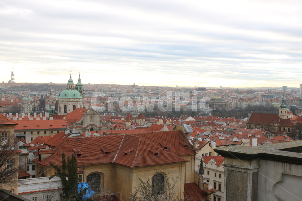 체코,프라하,지붕,풍경,praha,유럽,동유럽,europe,prague,czech,주황,roof,전망,전망대,도시,해외,해외도시풍경,외국도시풍경,구시가지,하늘,sky,건축물,해외,외국,세계,foreign,oversea,world