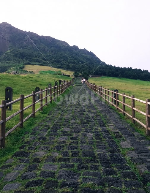 성산일출봉,제주도,현무암,돌길,일출봉,아침,울타리,목책,관광지,여행지,관광,여행,초원,목장,돌,잔디,길,명소,제주,자연,경관,경치,풍경,자연,풍경,nature,landscape,제주도,jeju,jeju island,outdoors,옥외,field,들,grassland,목초지