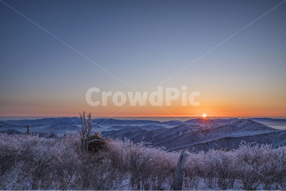 태백산,일출,상고대,설산,겨울,아침,눈꽃,겨울,계절,winter,season,자연,풍경,nature,landscape,outdoors,옥외,sky,하늘,red sky,붉은 하늘,dusk,황혼,dawn,새벽,sunset,일몰