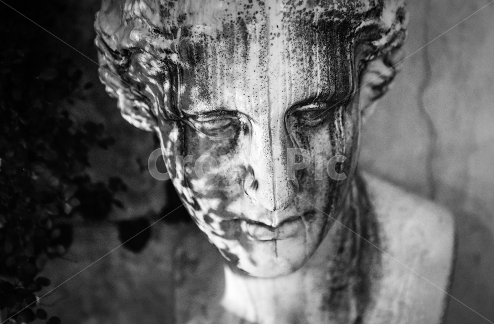 head,머리,alien,외계인,sculpture,조각,art,미술,흉상,흑백,bust,blackandwhite,흑백,모노톤,monochrome,black and white
