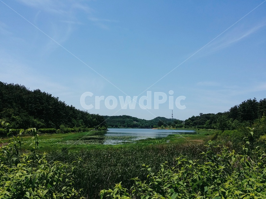 자연,nature,물,water,호수,녹색,green,푸름,맑음,산책,sky