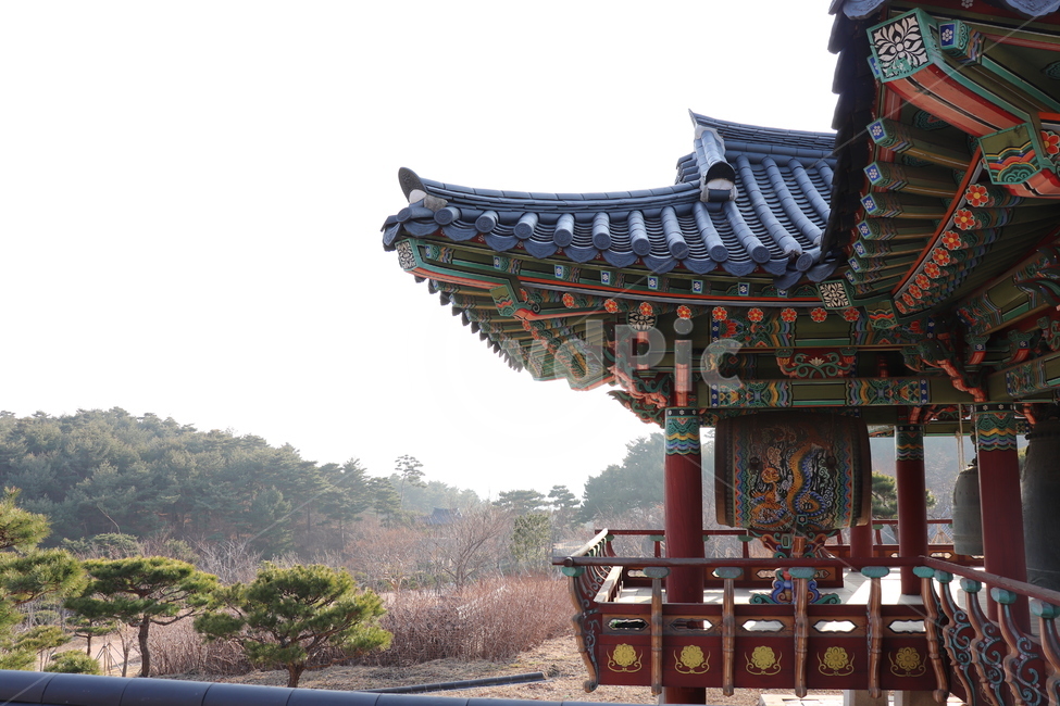 building,건물,architecture,건축물,worship,신사,shrine,신전,temple,예배,절,전통,traditional,한국전통,한국문화,korean traditional,korean culture