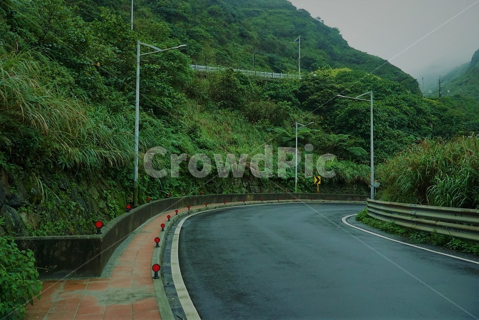 대만,비오는날,도로,숲,녹색,자연,자연,풍경,nature,landscape,road,asphalt,아스팔트