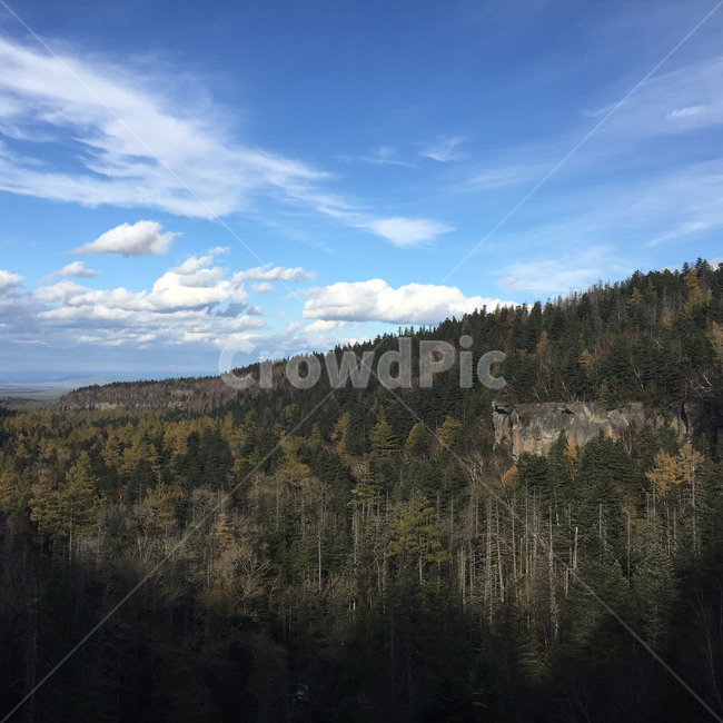 하늘,나무숲,산,정상,자연,여행,가을,풍경,구름,sky,forest,mountain,mountaintop,trevel,trip,fall,autumn,scenery,cloud,자연,풍경,nature,landscape,해외,외국,세계,foreign,oversea,world,세계자연풍경,해외자연풍경,외국자연풍경,world nature landscape,tree,나무,plant,식물,fir,전나무,abies,아비