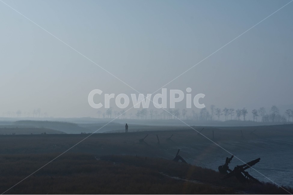안개,소래,갯골,여명,나무,풍경,자연,풍경,nature,landscape,outdoors,옥외,weather,날씨