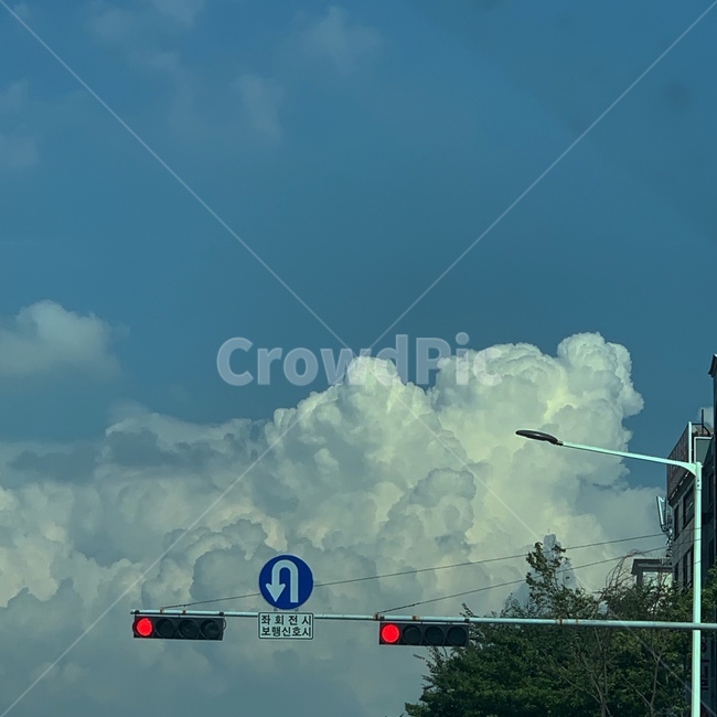 nature,자연,weather,날씨,구름,표지판,하늘,나무,신호등,sky,cloud