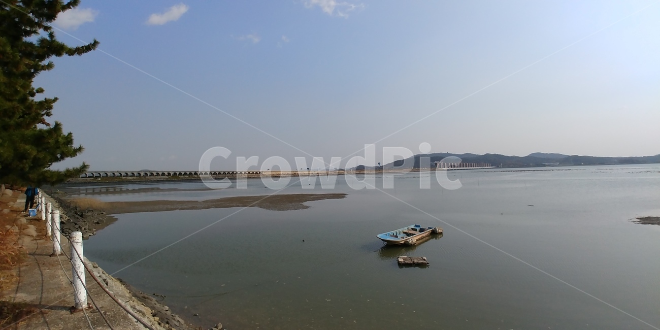 서천,금강하굿둑,도요새학교,철새도래지,외로움