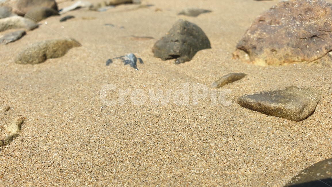 모래,바닷가,자연,sand,자갈