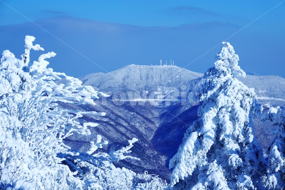 태백산,국립공원,설경,겨울,나무,주목,함백산,폭설,상고대,하늘,겨울,계절,winter,season