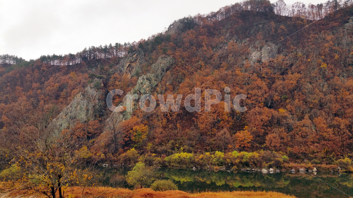 가을,산,단풍,강가,적벽강,계절,수통리,금산,비경,풍경,경관,배경,autumn,mountain,autumnaltints,landscape,theriverside,가을,계절,fall,autumn,season,자연,풍경,nature,landscape,tree,나무,plant,식물,outdoors,옥외