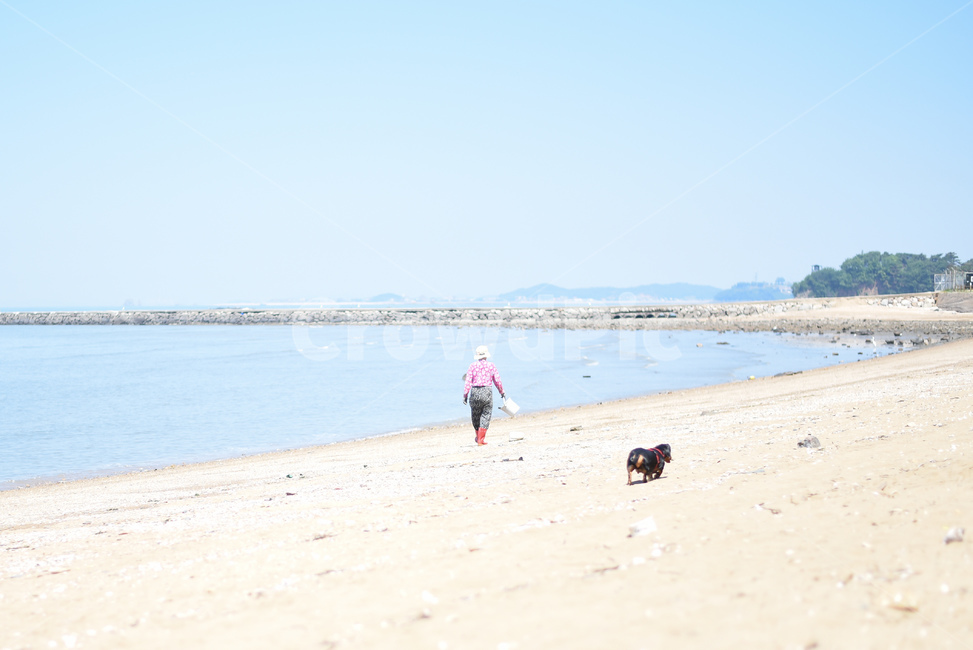 바다,일터,해변,해수욕장,삶,sea,궁평해수욕장,바닷가,모래사장,맑은날,해안,해안가,서해안