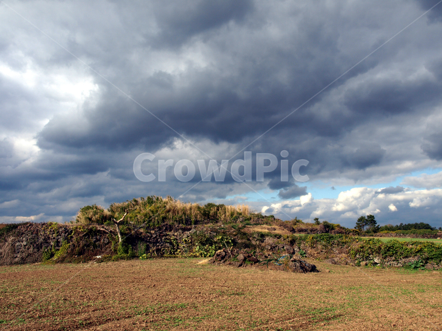 밭,올레13코스,올레길,제주,먹구름,돌담,자연,풍경,nature,landscape,제주도,jeju,jeju island,outdoors,옥외,field,들,grassland,목초지