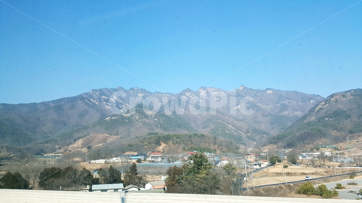 속리산,산,자연,파란하늘,나무