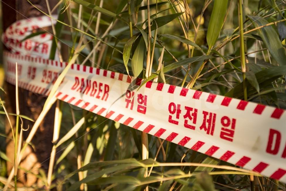가을,감성,풍경,빛,출사,여행,스냅,식물,풀,하늘,해,햇빛,사진,DSLR,일상,데일리,한국,위험,안전,danger