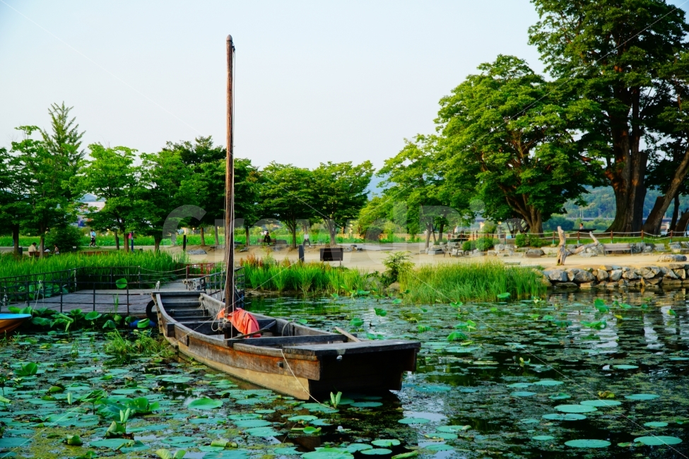두물머리,강,배,돛배,나무,자연,자연,풍경,nature,landscape,한국전통,한국문화,korean traditional,korean culture,vehicle,차량,watercraft,선박,transportation,교통