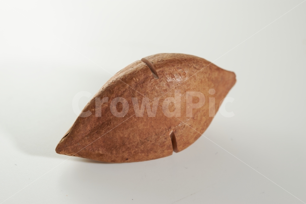 피넛,필리핀,땅콩,건과류,건강식,딱딱한,껍질,음식,식재료,요리,food,cook,meal,dishes,food reserves,콩류,견과류,beans,pulse,nuts,dry fruits,누끼,remove background
