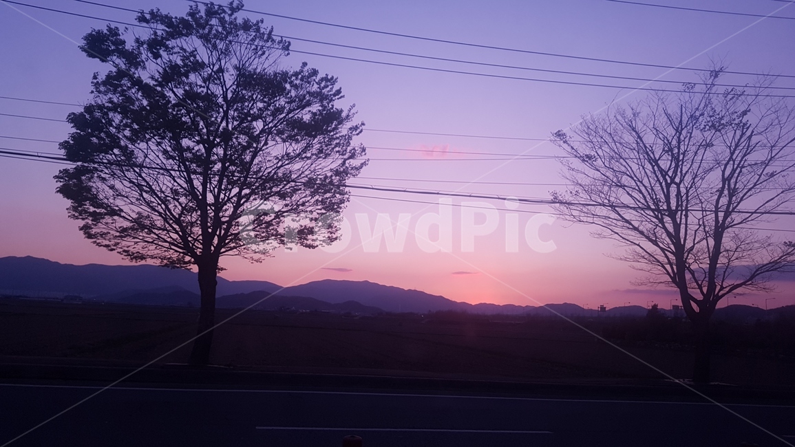 저녁노을,노을,풍경,노을풍경,보랏핓하늘,자연,풍경,nature,landscape