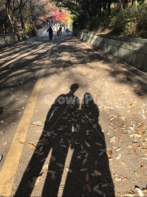 가을,날씨,단풍,풍경,낙엽,환경,서울,한국,연인,커플