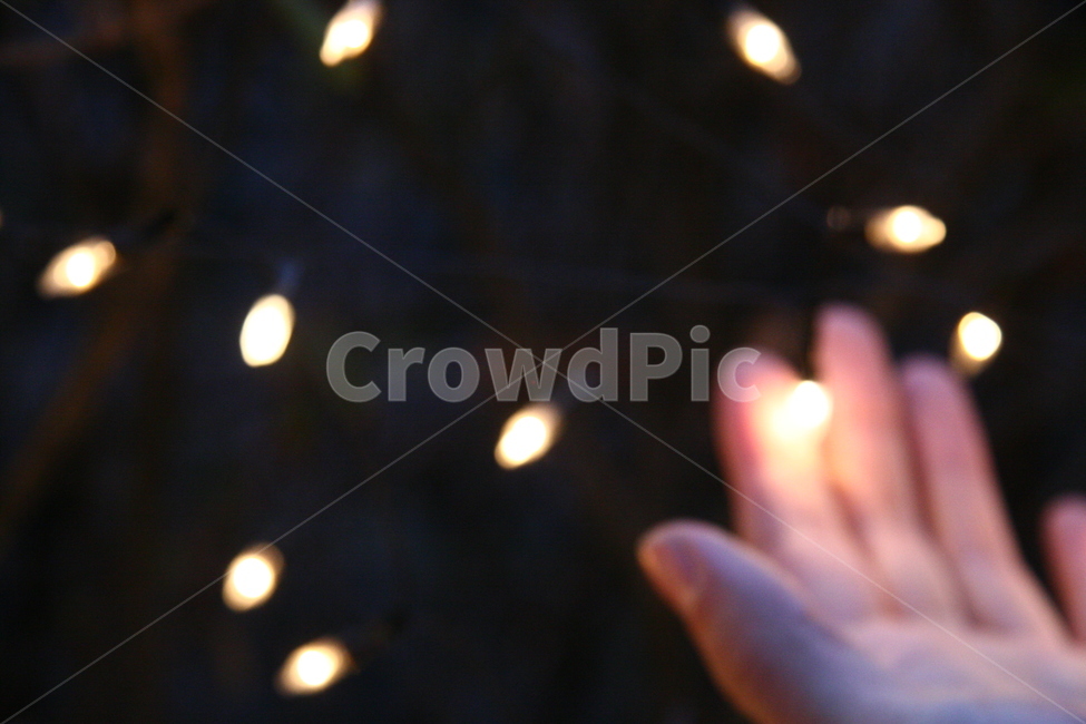 lighting,조명,보케,장식,크리스마스,빛,light,야경,밤,풍경,nightscape,night,landscape