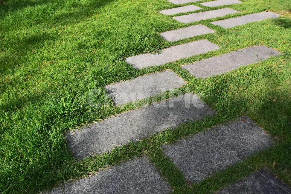 잔디밭,산책로,환경,가든,정원,앞마당,화강암,초록색,그린,식물,안뜰,garden,green,grass,자연,풍경,nature,landscape,plant,잔디,flagstone,판석,asphalt,아스팔트