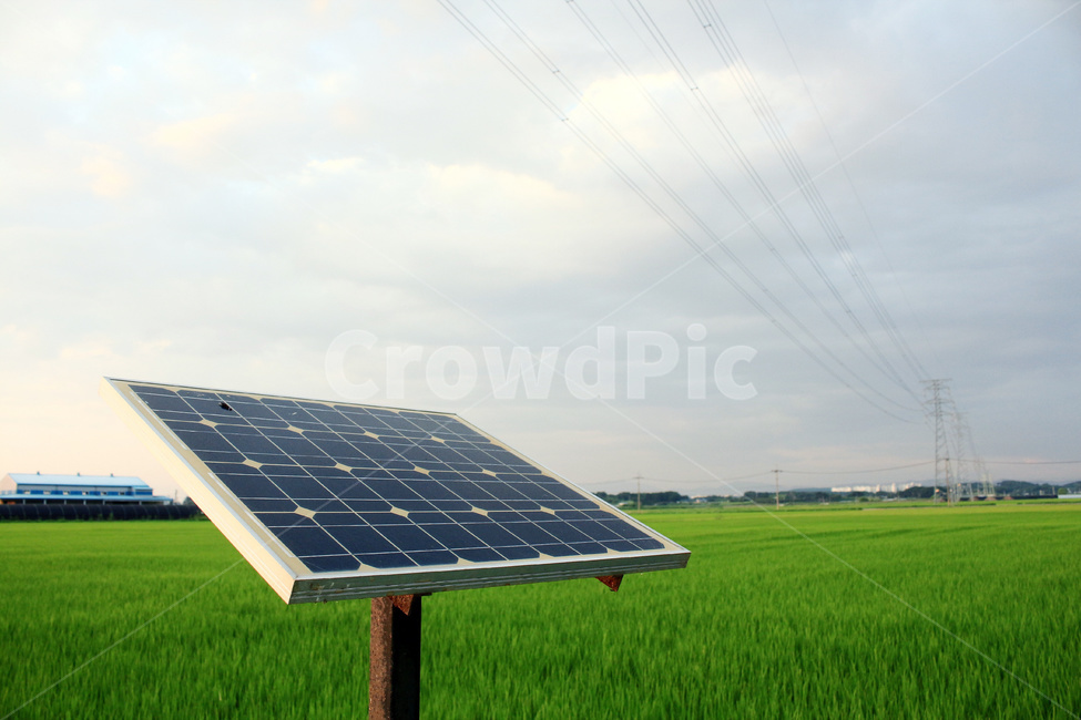 태양광,논,철탑,전력,전기,에너지,농촌,에너지산업,energy industry