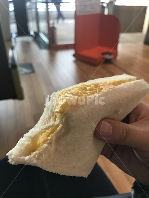 샌드위치,음식,계란,계란샌드위치,토스트,음식,식재료,요리,food,cook,meal,dishes,food reserves,빵,bread