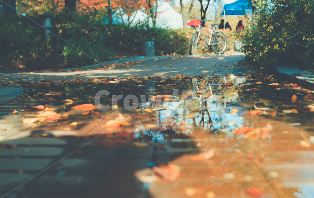 분위기,가을,길,비온뒤,감성,따뜻함,낙엽,가을,계절,fall,autumn,season,감성,sensible,feeling,비,비오는날,rain,rainy,transportation,교통,bike,자전거,bicycle,vehicle,차량