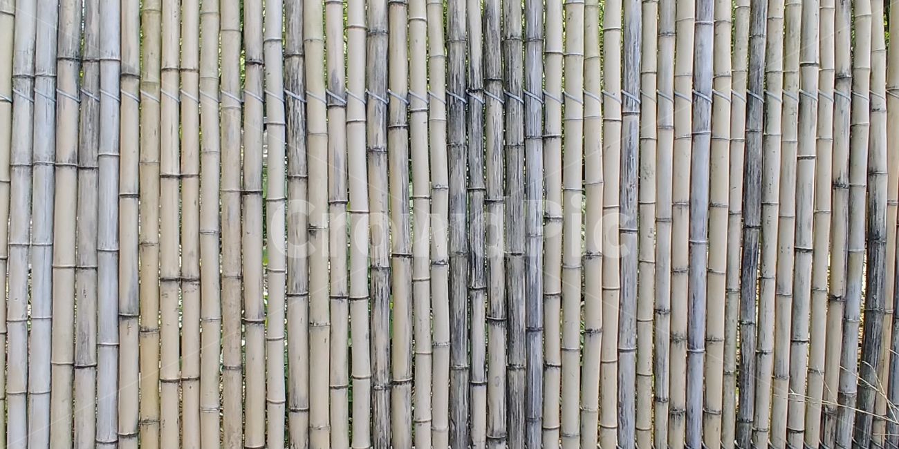 대나무,자연,식물,나무,nature,forest,plants,landscape,검정대나무,검은대나무,texture,텍스쳐,pattern,백그라운드,style,배경,질감,패턴,울타리,background,정렬,세로,직선,반복,평행,대나무벽,식물,자연,plants,nature,나무,trees,wood